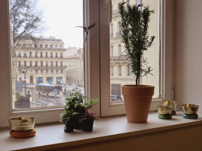 Vue de la salle de soin. Etagère avec plante et objets décoratifs. 